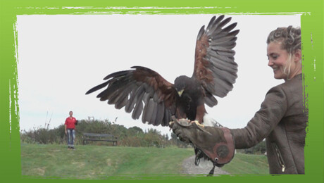 Kunnen we vliegen als een vogel?